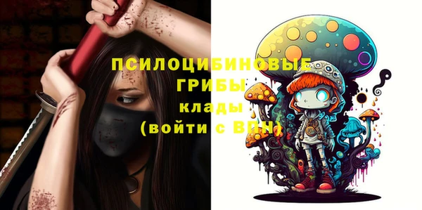 винт Бронницы