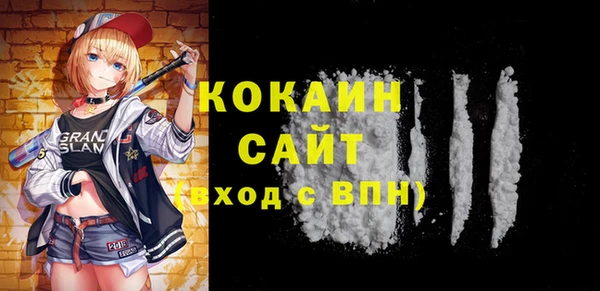 молекула духа Бородино