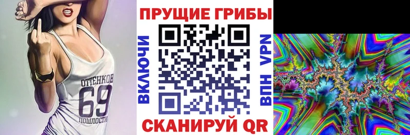 Галлюциногенные грибы прущие грибы Армавир