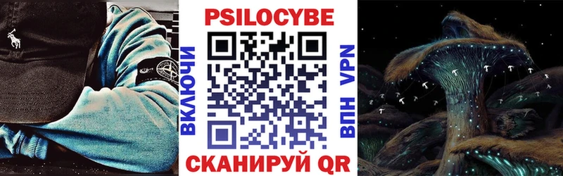 Псилоцибиновые грибы Cubensis  купить   Армавир 
